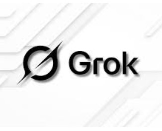 Grok Super Private Account